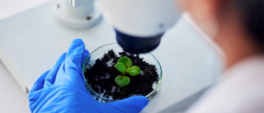 Concurso CRBio 1: últimos dias de inscrição para 330 vagas em SP
