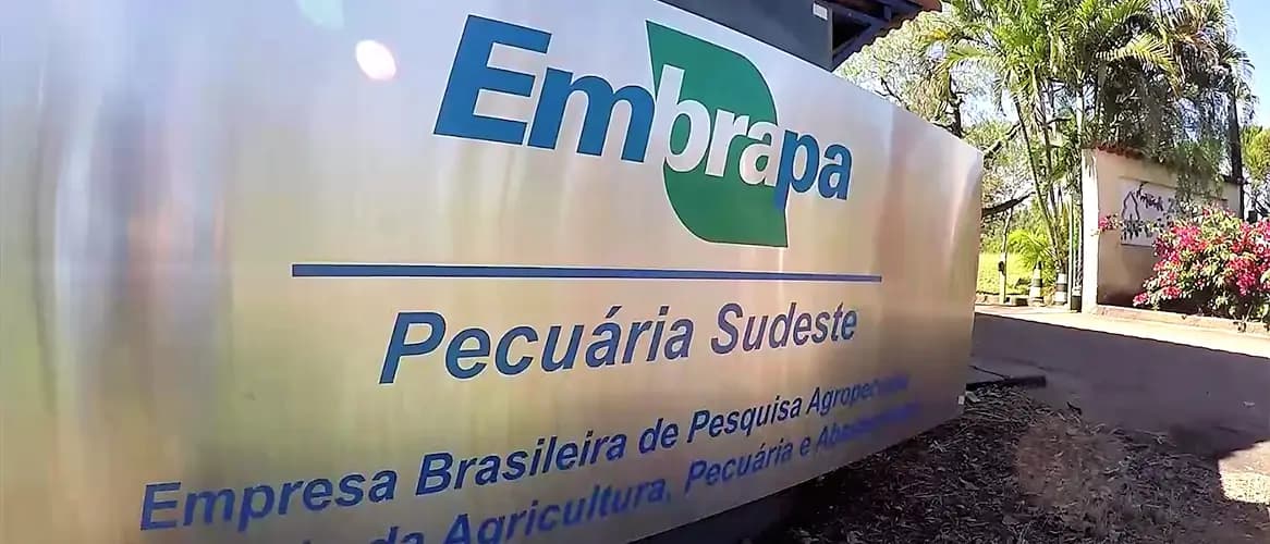 Concurso Embrapa: divulgado resultado provisório da prova prática
