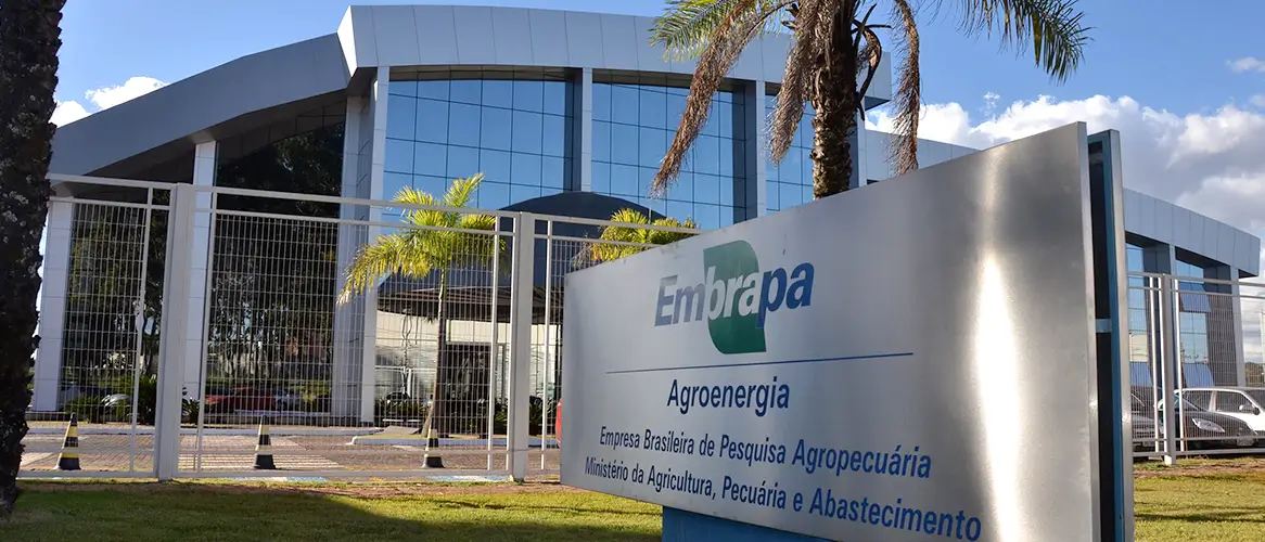 Concurso Embrapa reúne 279.701 inscritos. Veja concorrência por cargo!