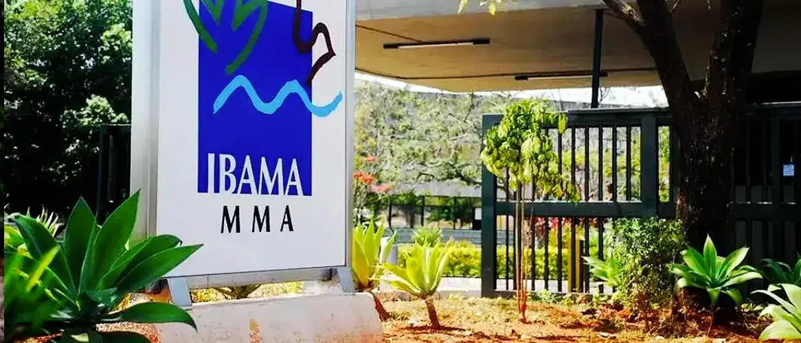 Concurso Ibama: presidente volta a cobrar nova seleção