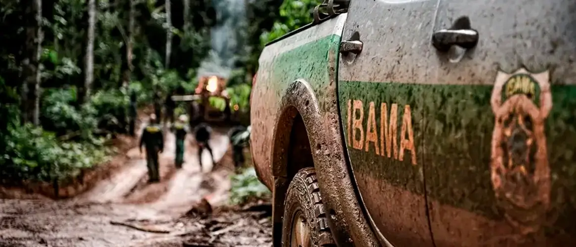 Concurso Ibama: 'edital no início de 2025', diz fonte