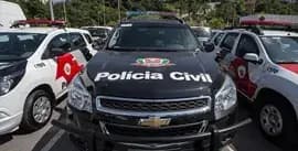 Perito Criminal